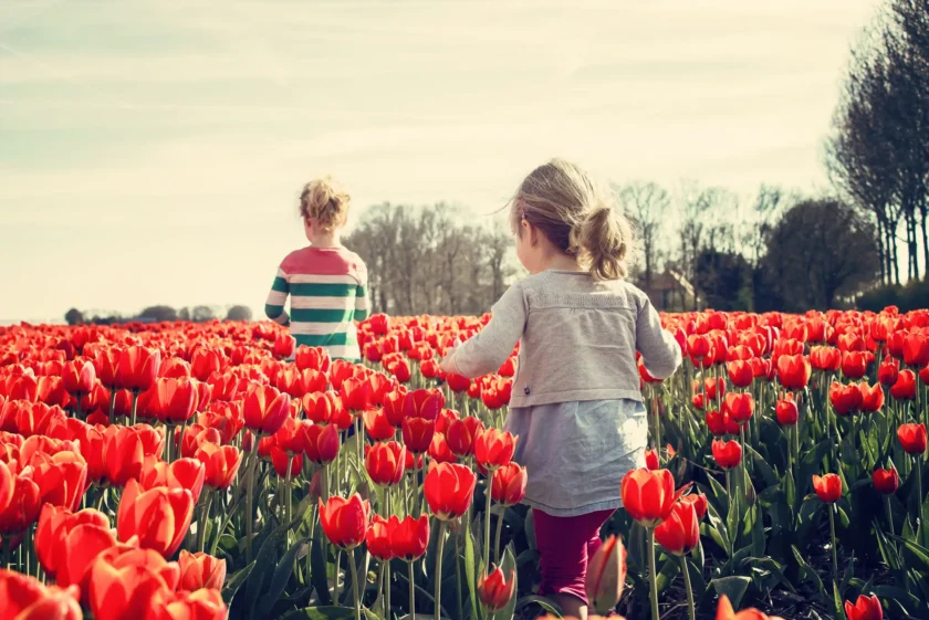 Footprints Foster Care - Spring Forward