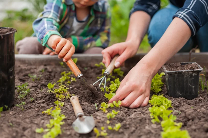 Footprints Foster Care - How does your garden grow?